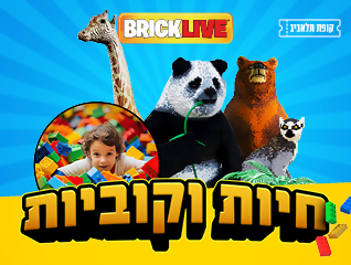 חיות וקוביות - כרטיס ב- 49 ש"ח בתוספת נקודות
